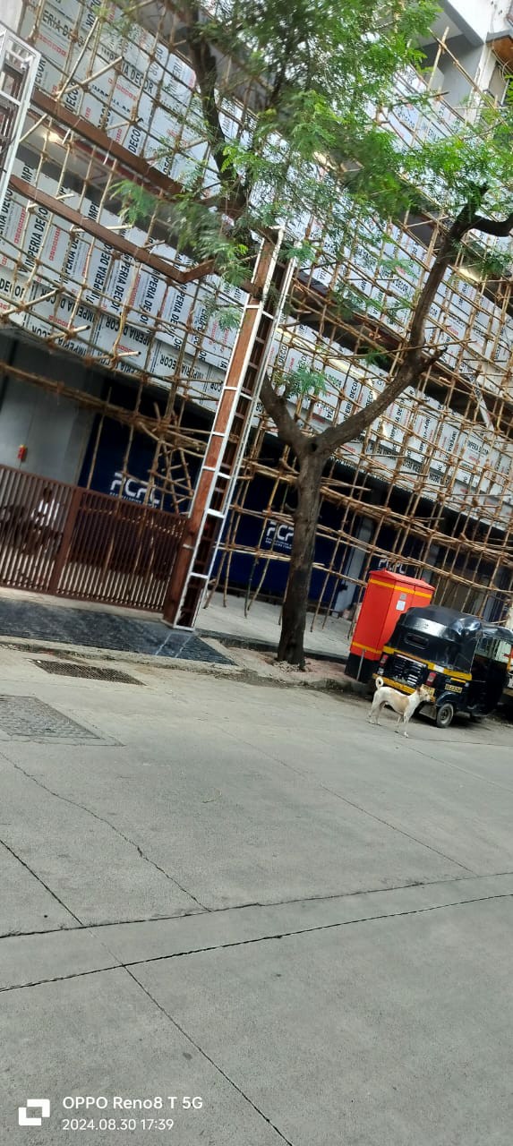 FOOTOVER BRIDGES DELHI