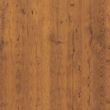 IM 543 - Golden Campino